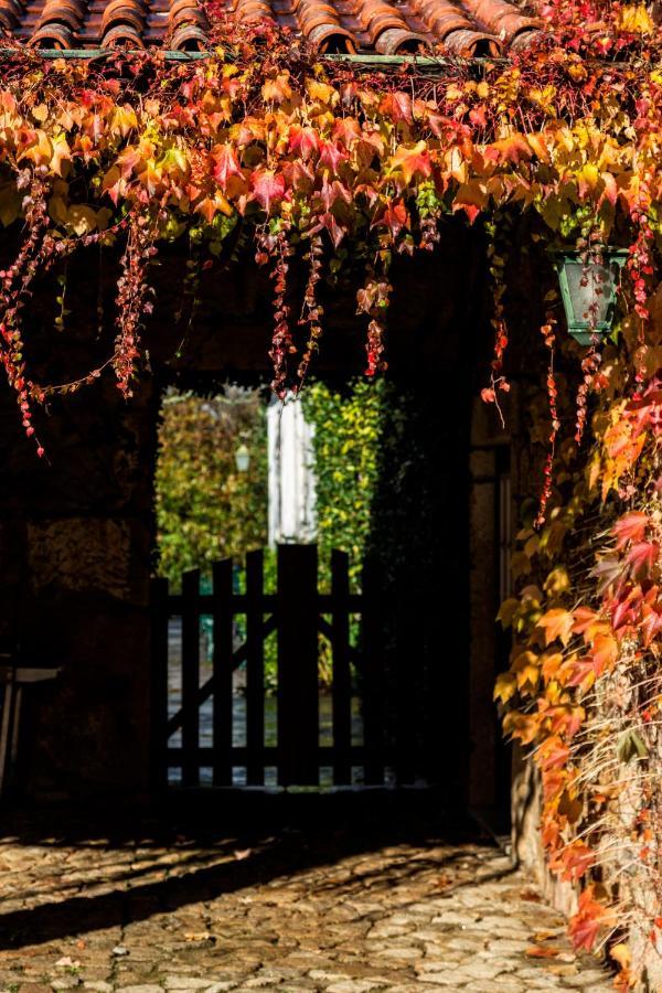 Casa Da Roseira Bed & Breakfast Ponte de Lima Dış mekan fotoğraf