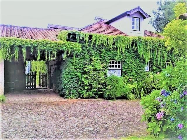 Casa Da Roseira Bed & Breakfast Ponte de Lima Dış mekan fotoğraf